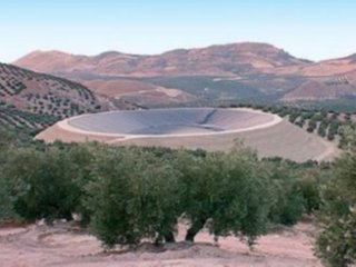 CAMPO 02  ECOLOGIA